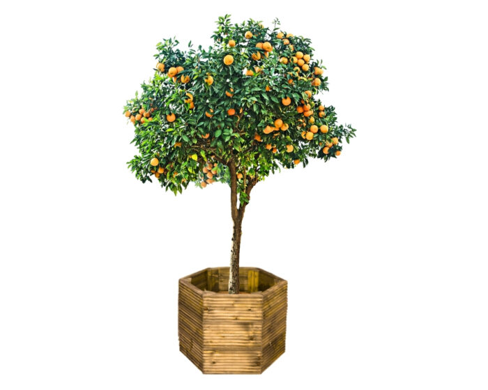 Decking Planters