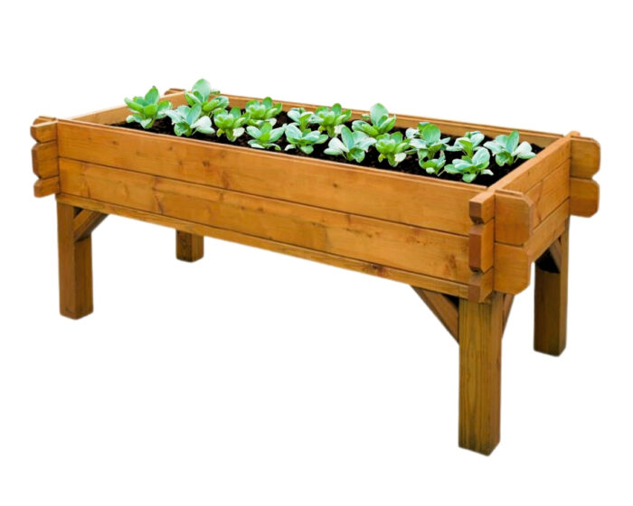 Raised Veggie Box