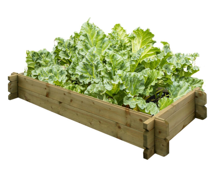 Veggie Box